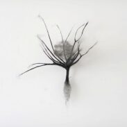 anne laval-plasticien
