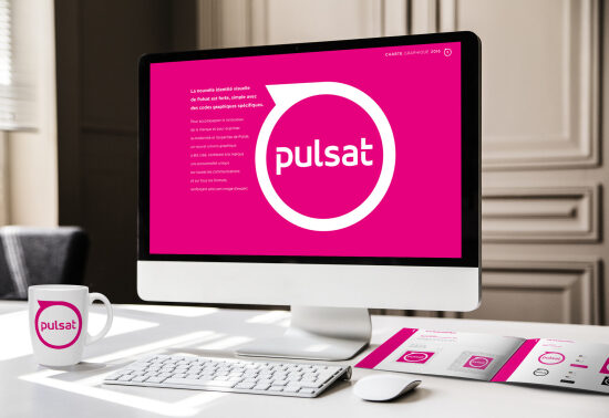SITE INTERNET CHARTE GRAPHIQUE PULSAT