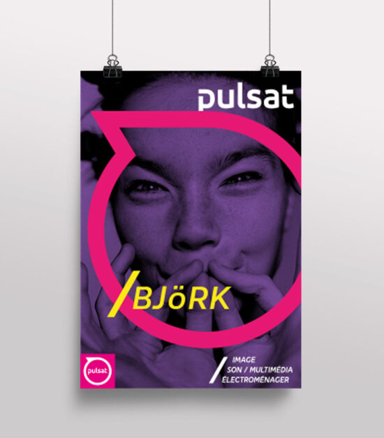 POSTER CHARTE PULSAT