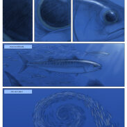 Poissons dans l'océan bleu