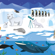 Ours polaire, dauphin, phoque, baleine, pingouin, canot, iceberg