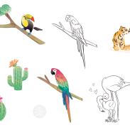 Oiseaux exotiques et cactus
