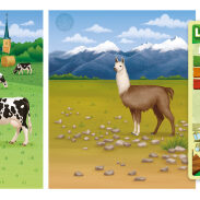 Vaches et lama dans un paysage pastoral