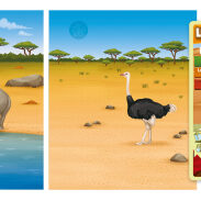 Rhinocéros et oiseau à l'eau dans le désert