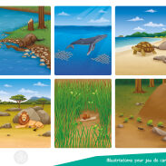 Scènes d'animaux dans la nature