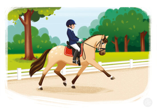 Cavalier sur un cheval au trot