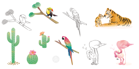 Oiseaux exotiques et cactus