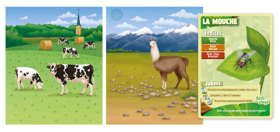 Vaches et lama dans un paysage pastoral
