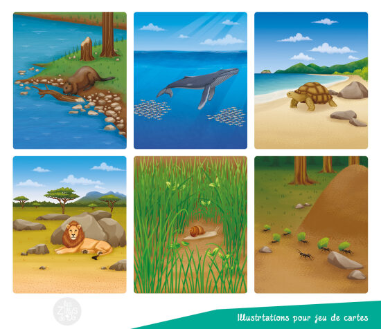 Scènes d'animaux dans la nature