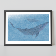 Dauphins dans l'eau bleue