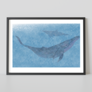 Deux dauphins sous l'eau bleue