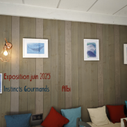 exposition juin 2025 instincts gourmands albi