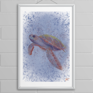 Tortue de mer