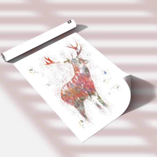 Deer illustration
