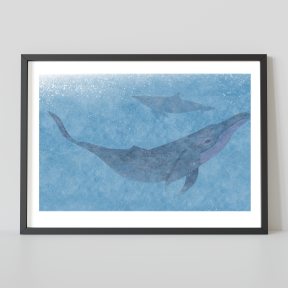 Deux dauphins sous l'eau bleue