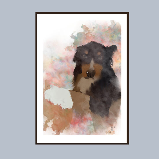 Collie au fond de jardin
