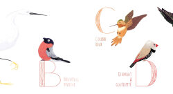 ABCDE - laury lagneau-illustrateur-jeunesse