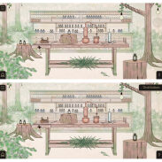 Atelier de distillation botanique