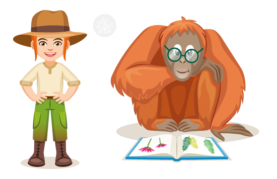 Orang-outan lisant un livre