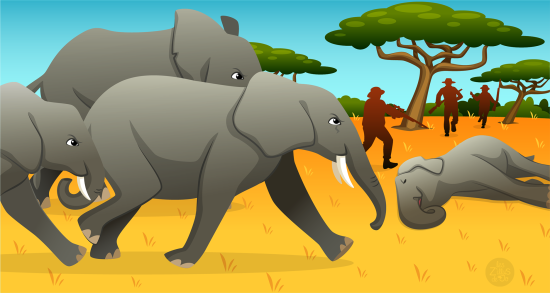 Éléphants dans la savane
