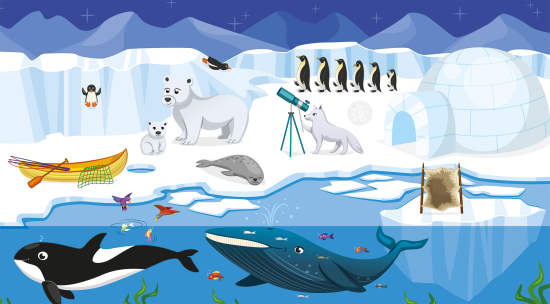Scène hivernale avec animaux polaires