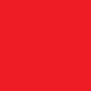Nicolò GIACOMIN-graphiste