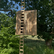 toit d'abri de jardin